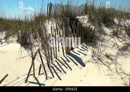 Le contrôle de l'érosion des clôtures sur les dunes de sable de la presqu'île de Fort Morgan dans South Alabama, USA Banque D'Images