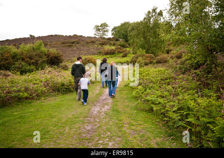 Vue arrière d'une famille de marcher à travers la campagne Banque D'Images