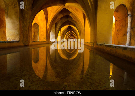 Thermes de Dame Marie de Padilla miroir d'eau de pluie en vertu de l'Alcazar palace Seville andalousie Banque D'Images