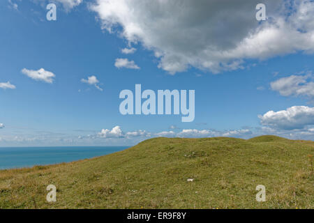 Cinq des castrats, Tennyson, Brook Trail vers le bas, à l'île de Wight, Angleterre, RU, FR. Banque D'Images