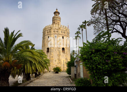 La Torre del Oro ou tour d'or de mauresque sur la rivière Guadalquivir Séville Espagne Banque D'Images