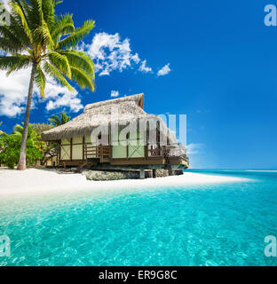 Sur l'étonnante bungallow à vendre à pereybère Tropical Beach avec un palmier Banque D'Images