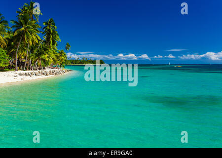 Île tropicale à Fidji avec plage de sable et l'eau pure Banque D'Images