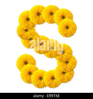 Lettre de l'alphabet de fleurs isolé sur fond blanc Banque D'Images