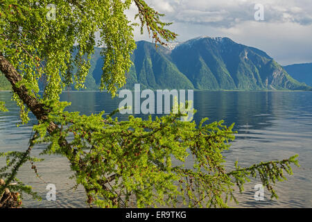 Le lac Teletskoye et Tualok Mont Altaï State Nature Reserve. La Russie Banque D'Images