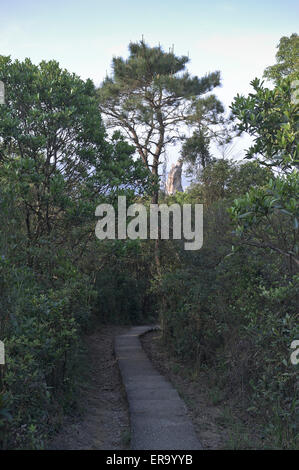 Dh Lion Rock Country Park NOUVEAUX TERRITOIRES HONG KONG à chemin d'Amah Rock Banque D'Images