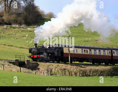 Visiter Pannier réservoir du moteur 1638 traverse la campagne du Shropshire vers Arley sur la Severn Valley Railway, en Angleterre, Banque D'Images