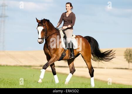 Manèges femme warmblood de Hesse Banque D'Images