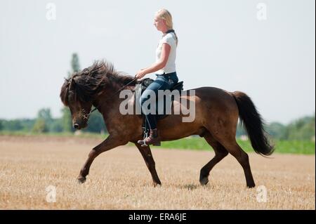 Des promenades en cheval islandais femme Banque D'Images