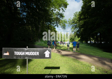 Fun au Midlands Tough Mudder événement , Boughton House, Kettering, 31 mai 2015. Banque D'Images