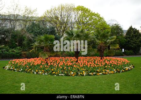 Parterre à Dublin's St Stephen's Green Banque D'Images