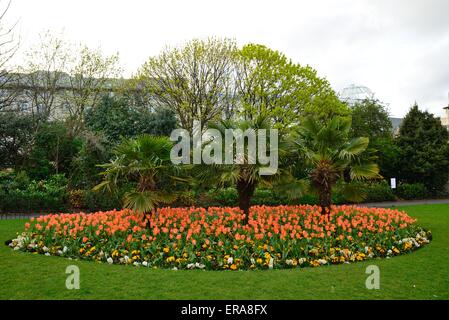 Parterre à Dublin's St Stephen's Green Banque D'Images