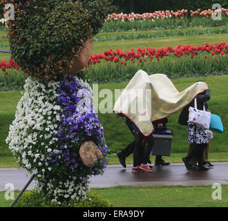 Magdeburg, Allemagne. 16 mai, 2015. Les piétons de se couvrir avec une couverture pour se protéger de la pluie à Magdeburg, Allemagne, 16 mai 2015. Photo : Jens Wolf/dpa/Alamy Live News Banque D'Images