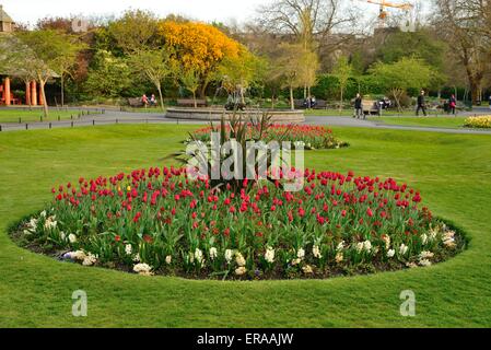 Parterre à Dublin's St Stephen's Green Banque D'Images