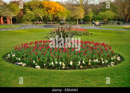 Parterre à Dublin's St Stephen's Green Banque D'Images