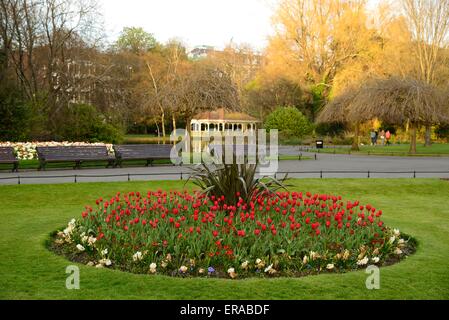 Parterre à Dublin's St Stephen's Green Banque D'Images