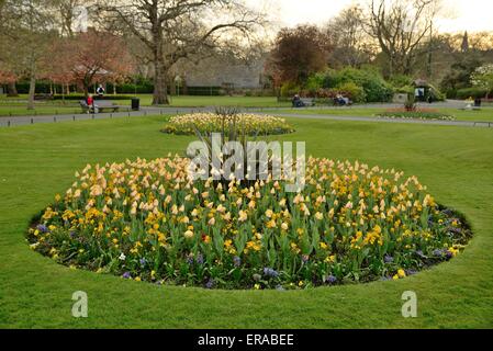 Parterre à Dublin's St Stephen's Green Banque D'Images