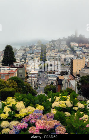 Vue depuis le haut de Lombard Street, San Francisco Banque D'Images