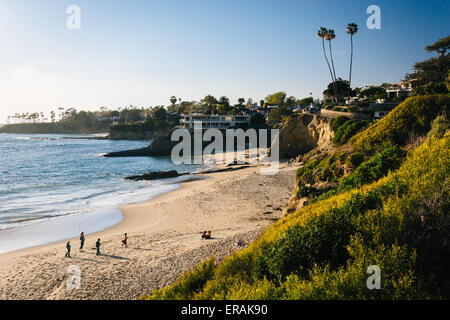 Vue sur une plage et l'océan Pacifique, de falaises d'Heisler Park, à Laguna Beach, Californie. Banque D'Images