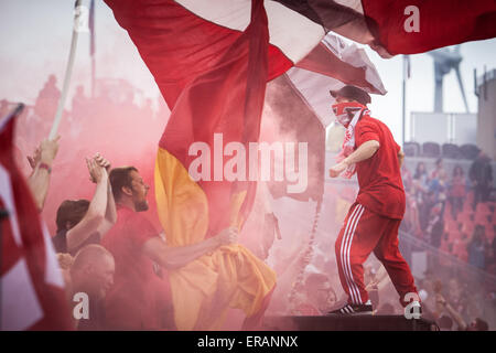 Toronto, Ontario, Canada. 30 mai, 2015. Ventilateur du Toronto FC MLS au cours d'un match entre le Toronto FC et San Jose Earthquakes au BMO Field à Toronto, ON. Credit : csm/Alamy Live News Banque D'Images