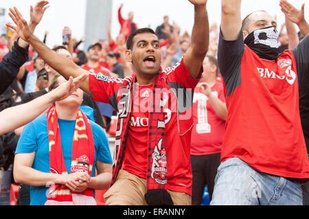 Toronto, Ontario, Canada. 30 mai, 2015. Ventilateur du Toronto FC MLS au cours d'un match entre le Toronto FC et San Jose Earthquakes au BMO Field à Toronto, ON. Credit : csm/Alamy Live News Banque D'Images