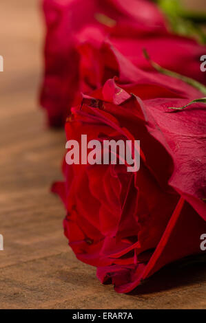 Roses rouges alignés sur une table en bois Banque D'Images