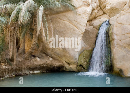 Cascade dans oasis de montagne Chebika, Tunisie Banque D'Images