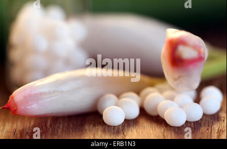 Close up de l'Homéopathie globules lipidiques avec des fleur Banque D'Images