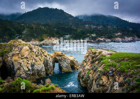 Vue sur la côte rocheuse du Pacifique, à l'état de Point Lobos Parc naturel, dans la région de Carmel, en Californie. Banque D'Images