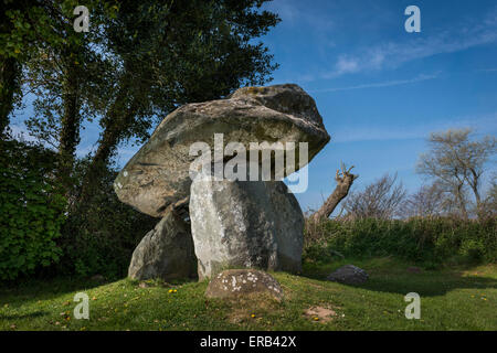 Carreg Coetan Arthur chambre funéraire néolithique (Cromlech) à Newport, Pembrokeshire, Pays de Galles Banque D'Images