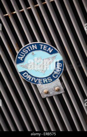 Austin 10 badge Drivers Club sur calandre de voiture Austin 10 Banque D'Images