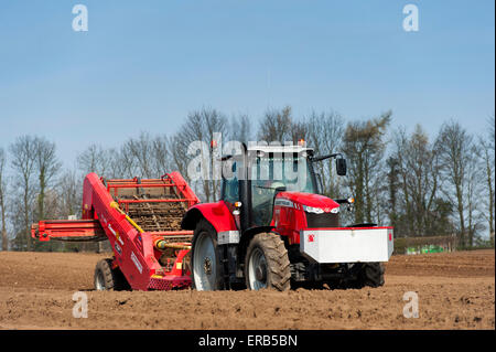 La préparation de lit de semences de pommes de terre, à l'aide de pierre Grimme retrait machine tirée par un Massey Ferguson 7620, Yorkshire, UK. Banque D'Images