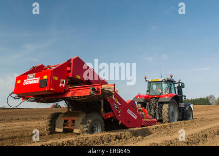 La préparation de lit de semences de pommes de terre, à l'aide de pierre Grimme retrait machine tirée par un Massey Ferguson 7620, Yorkshire, UK. Banque D'Images