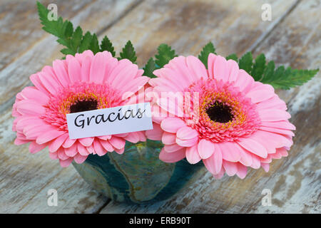 Gracias (ce qui signifie merci en espagnol) avec les gerberas rose Banque D'Images