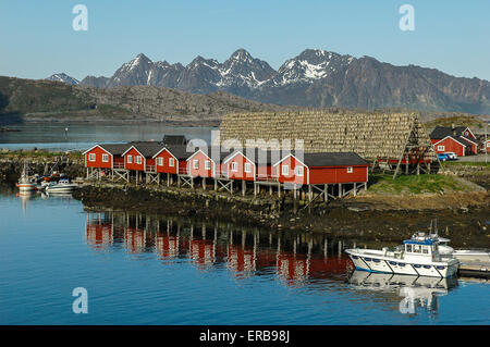 Location de maisons à Svolvaer Lofoten, Norvège Banque D'Images