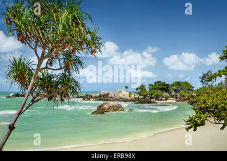 Belle Plage à Island Banque D'Images