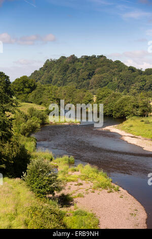 Pays de Galles, Carmarthenshire, Llandeilo, Afon Tywi, rivière Towy Banque D'Images