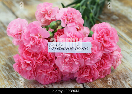 Bienvenue accueil carte avec des œillets rose Banque D'Images