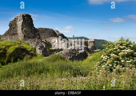 Pays de Galles, Carmarthenshire, ruines du château de Dryslwyn Banque D'Images