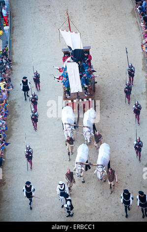 Le panier ou carroccio avec le Palio tirées par des bœufs Chianina, Sienne, Toscane, Italie Banque D'Images