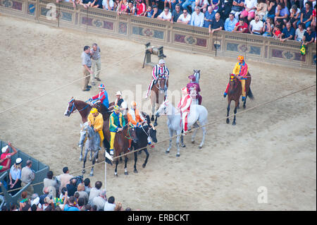 Les chevaux en attendant le départ à la Palio di Siena, Sienne, Toscane, Italie Banque D'Images
