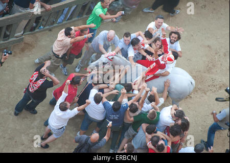 Le jockey gagnant de Il Palio di Siena salue sa victoire, Sienne, Toscane, Italie Banque D'Images