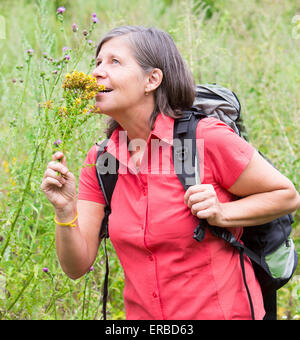 Femme plus âgée est la randonnée dans la nature et fleurs odorantes Banque D'Images