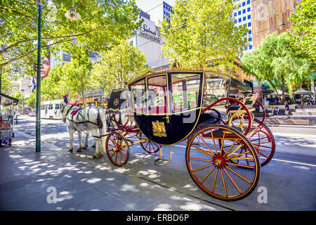 Or doré calèche traditionnelle et des chevaux blancs, des rides le long de Swanston Street, Melbourne, Australie Banque D'Images