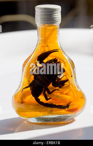 Bottlle of Scorpion Whisky Spirit Liquor - un exemple de la nourriture étrange ou bizarre mangée par les gens du monde entier Banque D'Images