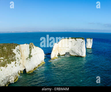 Falaises de craie à Old Harry Rocks, Swanage, Dorset, UK. Banque D'Images