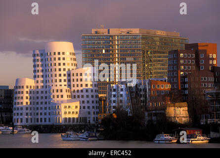 DEU, Allemagne, Düsseldorf, la Neue Zollhof au port du Rhin, l'architecte Frank O'Gehry, derrière que le Cityga/Stadttor Banque D'Images