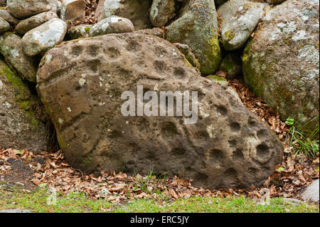 Joint torique et tasse marquée à l'Balnuaran pierre Clava Cairns près d'Inverness. 9822 SCO. Banque D'Images