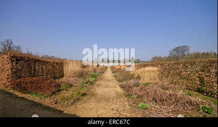 Helmsley Walled Garden fleurs de printemps Banque D'Images