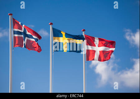 Drapeaux scandinaves de Norvège, Suède, Danemark Banque D'Images